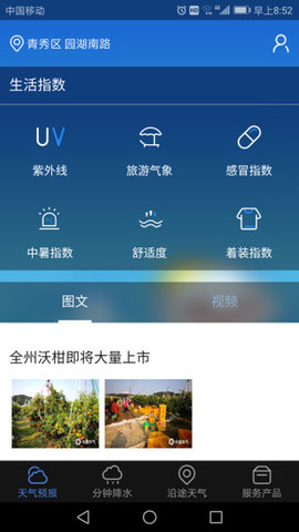 晓天气官方版下载