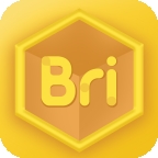 bricube学生版app官方版下载