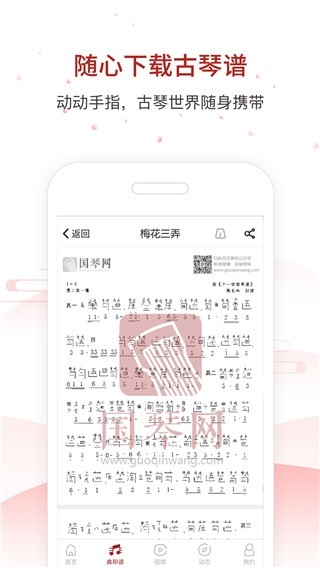 国琴网官方版下载