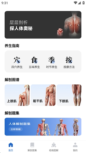 人体解剖图集电子版下载