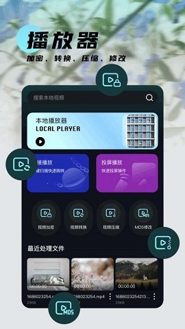 runway中文版免费下载