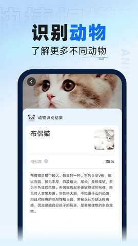 迅捷扫描大师下载手机版