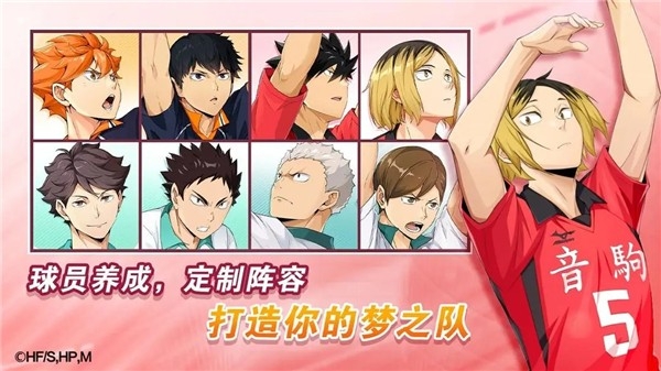 排球少年新的征程下载中文版