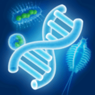 生物进化游戏下载
