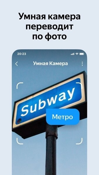 俄罗斯引擎浏览器app下载安装手机版