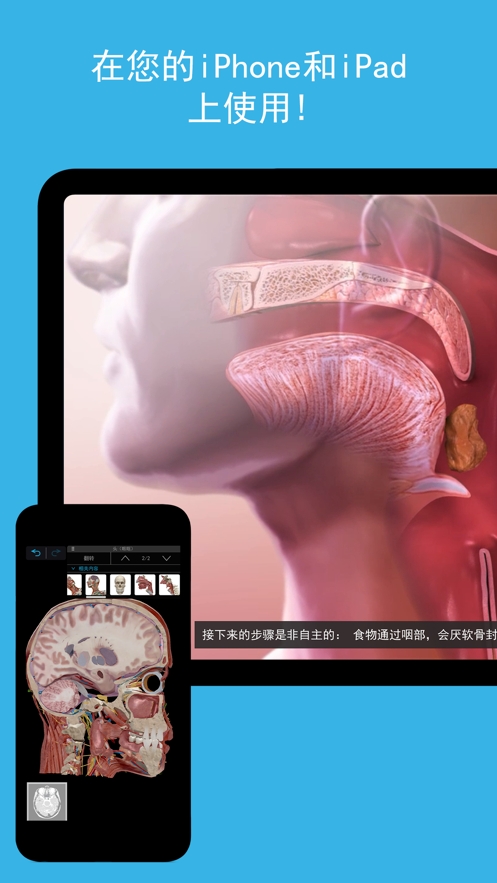 atlas人体解剖学图谱官方版下载