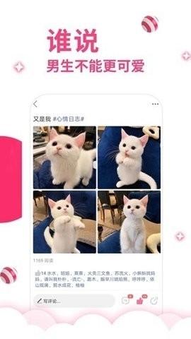 丝语社交软件官方正版