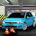 代客泊车(Valet Parking)