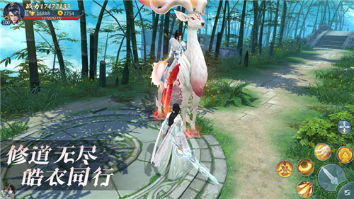 皓衣仙君最新版