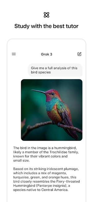 grok4.1官方最新版