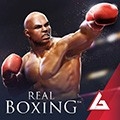 真实拳击（Real Boxing）游戏安卓最新版