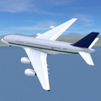 疯狂机场（Airport Madness 3D）安卓版