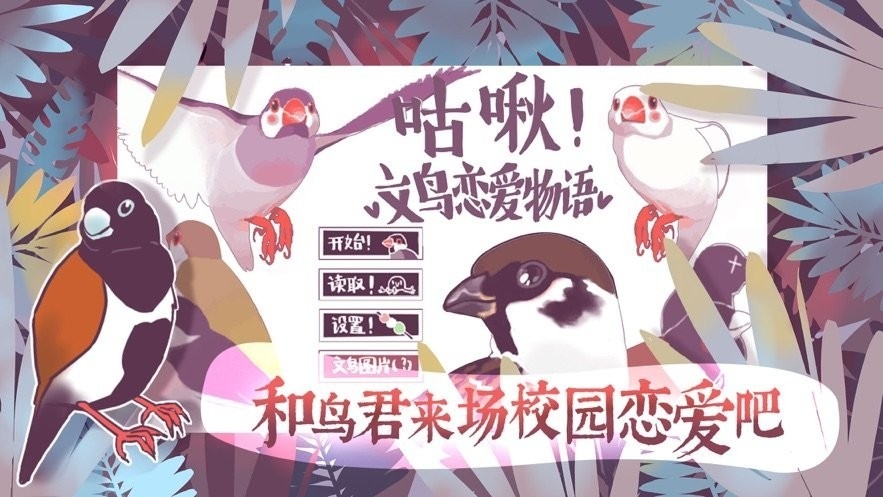 文鸟恋爱物语官方手游安卓正版