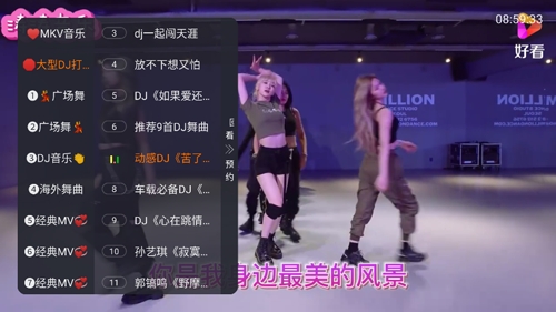 MKV音乐电视版