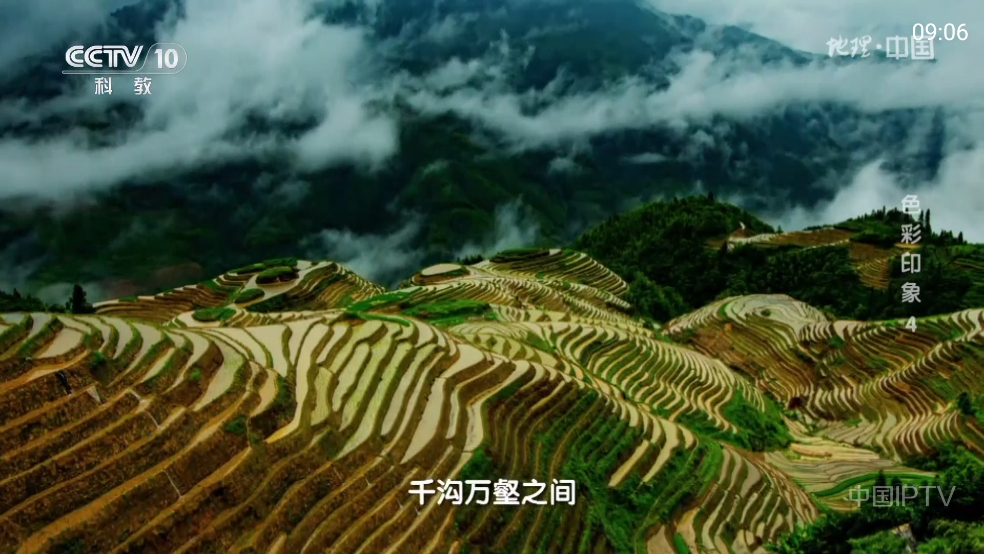 频道多多TV电视直播最新版