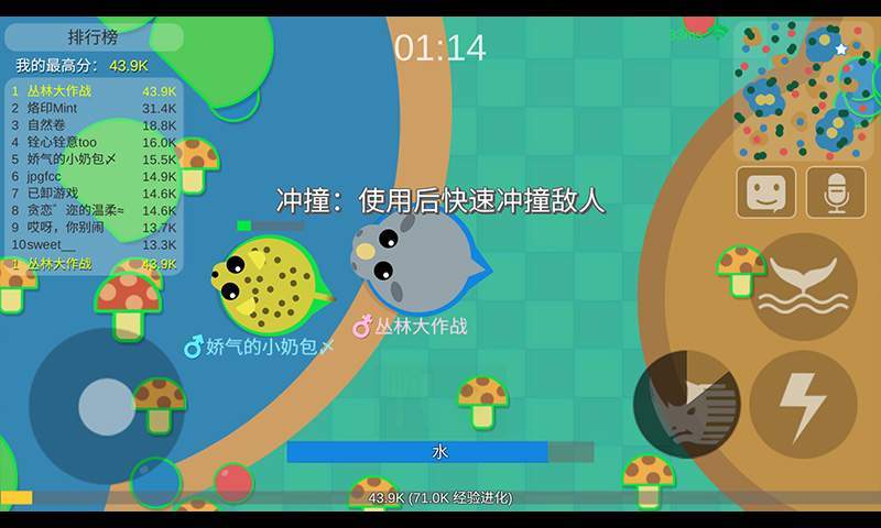 丛林大作战官方版
