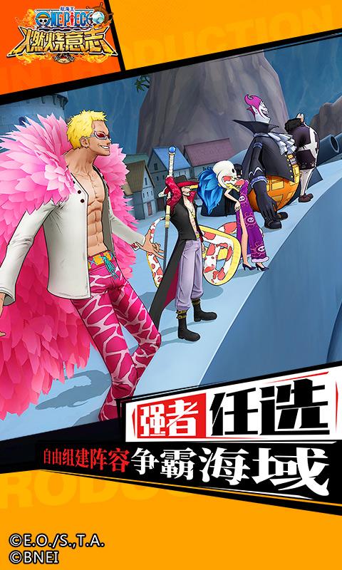 海贼王燃烧意志