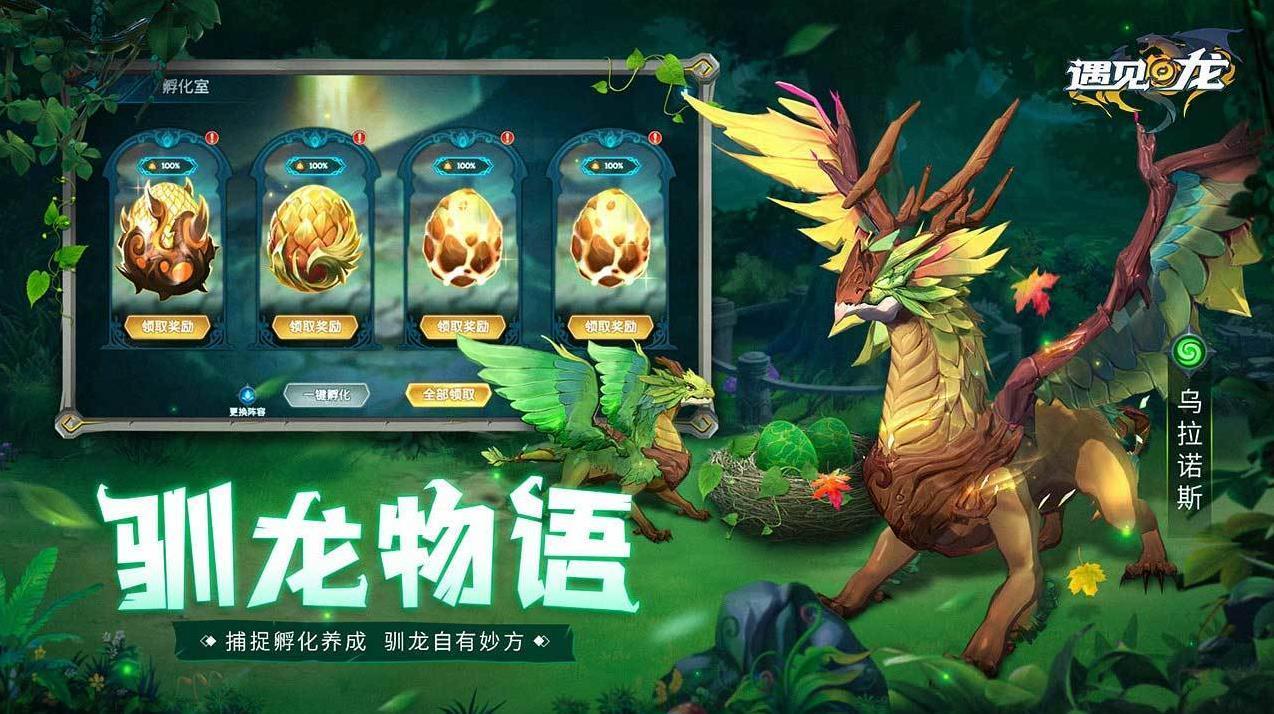 遇见龙最新版