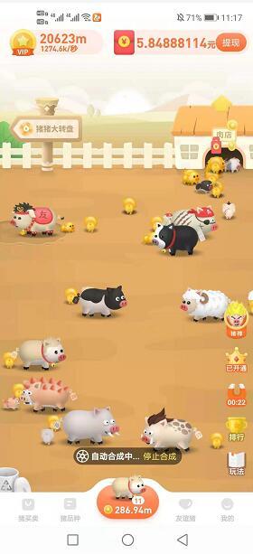 一起来养猪赚钱app