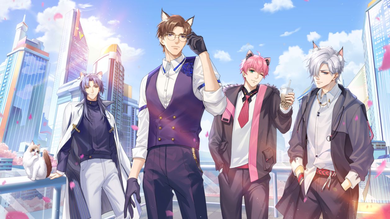 猫之宿约者测试服