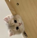 陌陌工具箱2025最新版