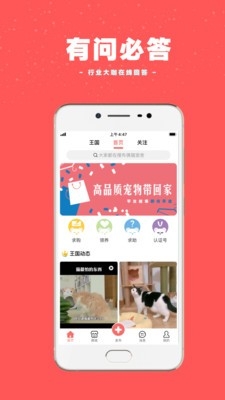 宠物王国社交app官方版