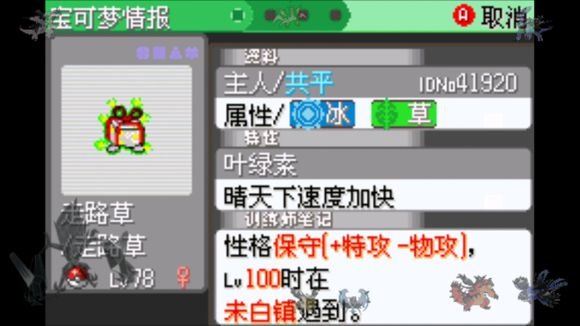 口袋妖怪日月宝石八木特别篇