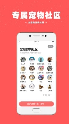 宠物王国社交app官方版