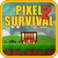 pixel sur