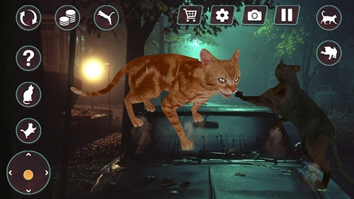 Cat Fighting Battle Simulator手机版游戏