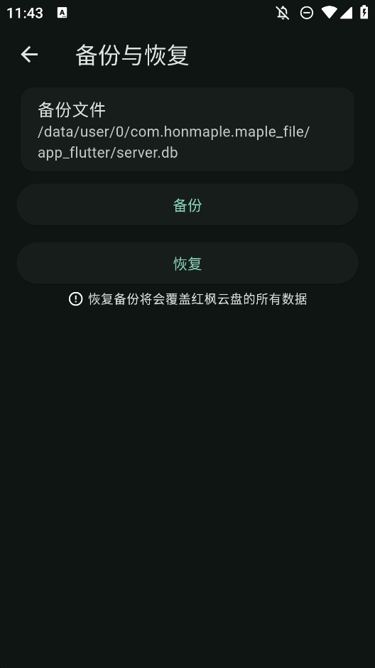 红枫云盘免费版