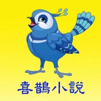 喜鹊小说阅读软件安卓版