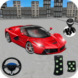 现代停车大师游戏(Luxury Car Parking Mania Parking)