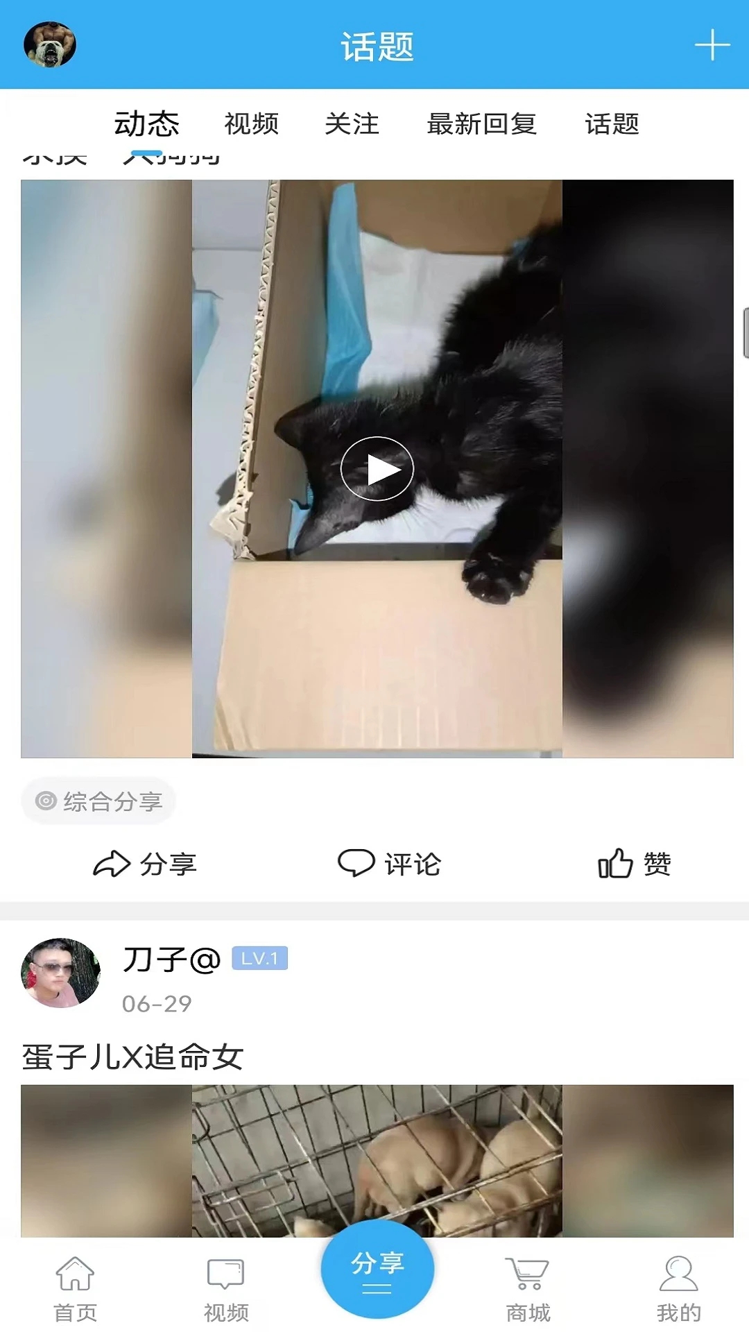 猛犬俱乐部安卓官方版