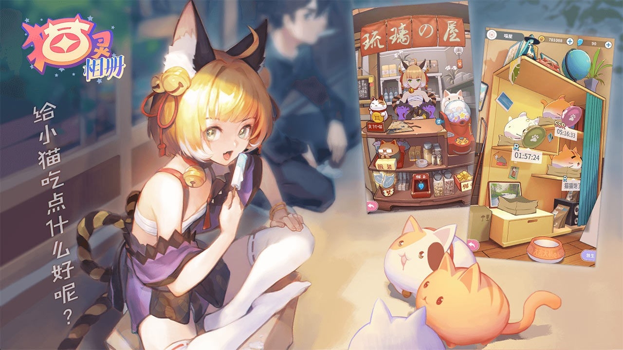 猫灵相册手游最新官方正版