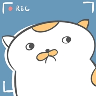 主播和猫的故事游戏官方版