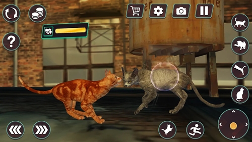 Cat Fighting Battle Simulator手机版游戏