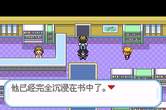 口袋妖怪盖亚半汉化版
