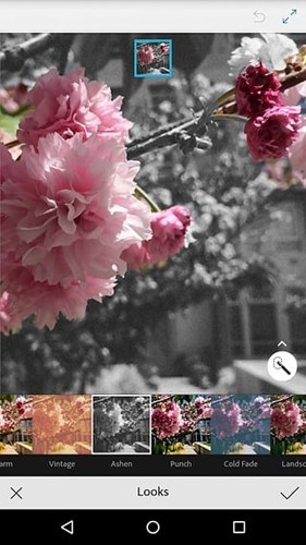 Adobe Photoshop Mix最新中文版