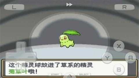 口袋妖怪:心金手机中文版