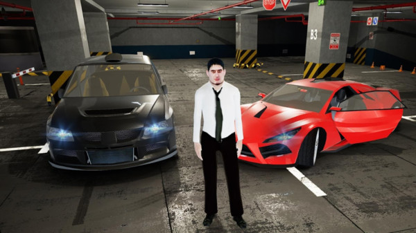 代客泊车(Valet Parking)