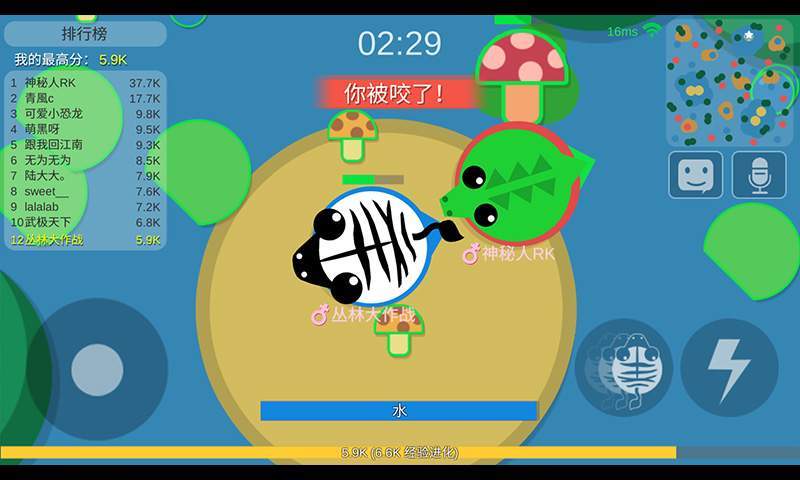 丛林大作战官方版