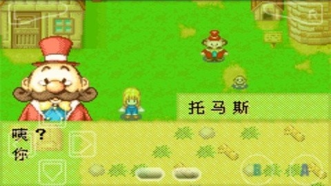 牧场物语女孩版游戏手机版