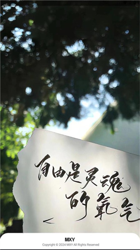Mxy软件库安卓免费版