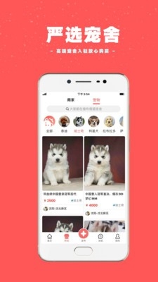宠物王国社交app官方版
