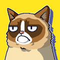 不爽猫(Grumpy Cat)