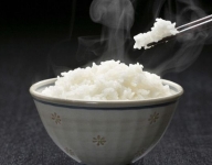 饭太香t