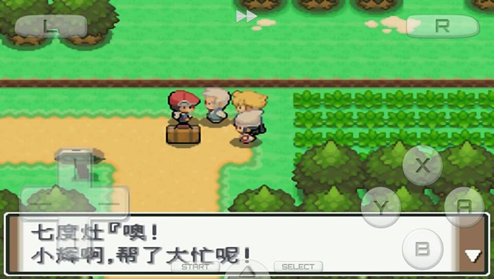 口袋妖怪白金光汉化版