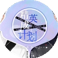 精英成长计划游戏完结版
