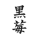 黑莓浏览器最新版本